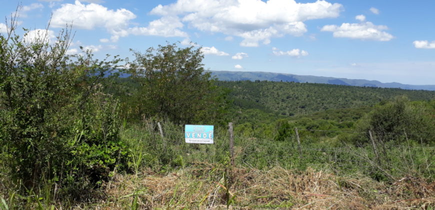 Hermoso Campo en Venta