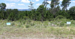 Hermoso Campo en Venta