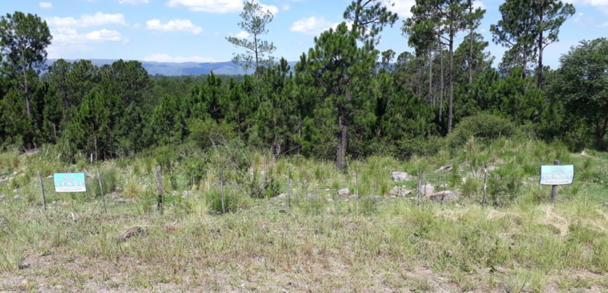Hermoso Campo en Venta