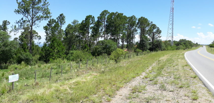 Hermoso Campo en Venta