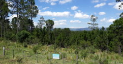 Hermoso Campo en Venta