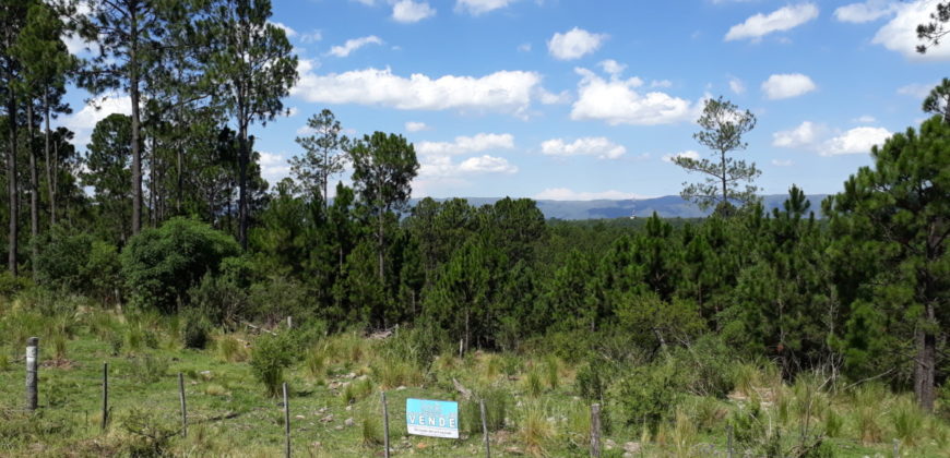 Hermoso Campo en Venta