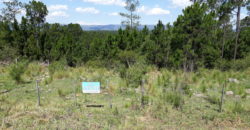 Hermoso Campo en Venta