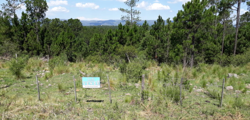 Hermoso Campo en Venta