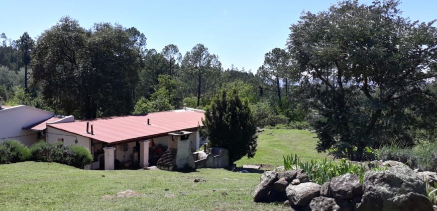 Campo en INTIYACO con Rio