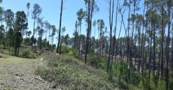 Campo en INTIYACO con Rio