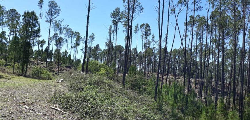 Campo en INTIYACO con Rio