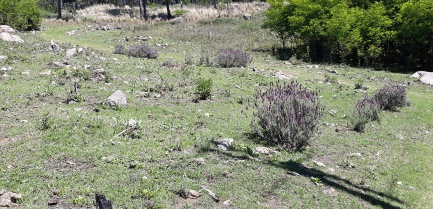 Campo en INTIYACO con Rio