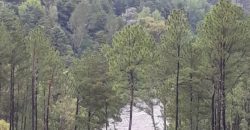 Campo en INTIYACO con Rio