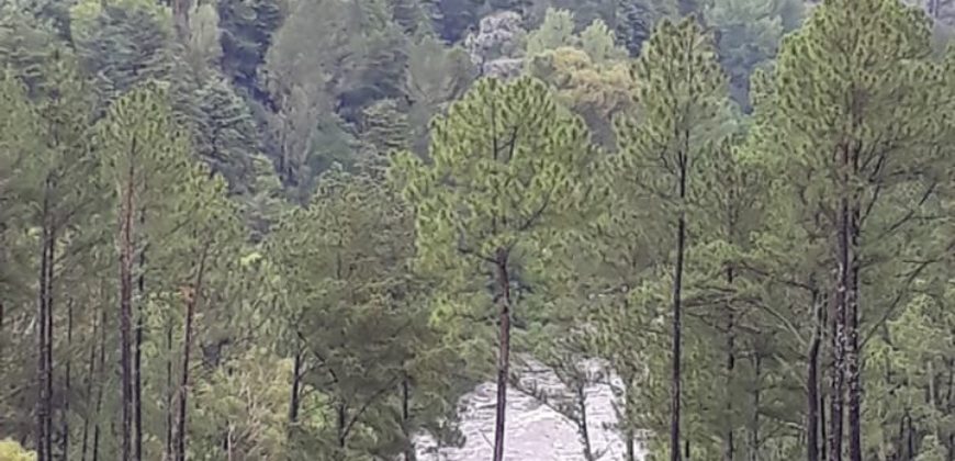 Campo en INTIYACO con Rio