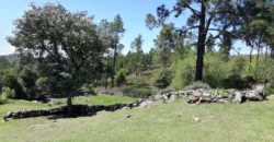 Campo en INTIYACO con Rio