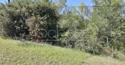 Fracción sobre Ruta N°5
