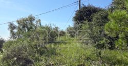 Fracción sobre Ruta N°5