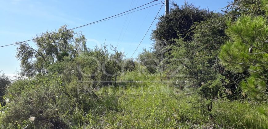 Fracción sobre Ruta N°5