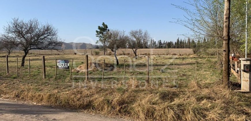 TERRENO EN 4 HORIZONTES