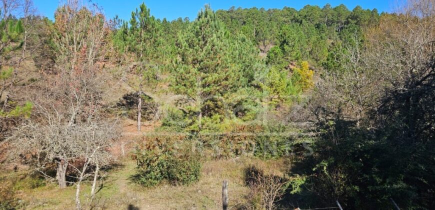 Campo en Intiyaco