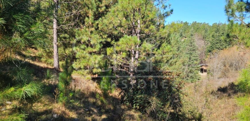 Campo en Intiyaco