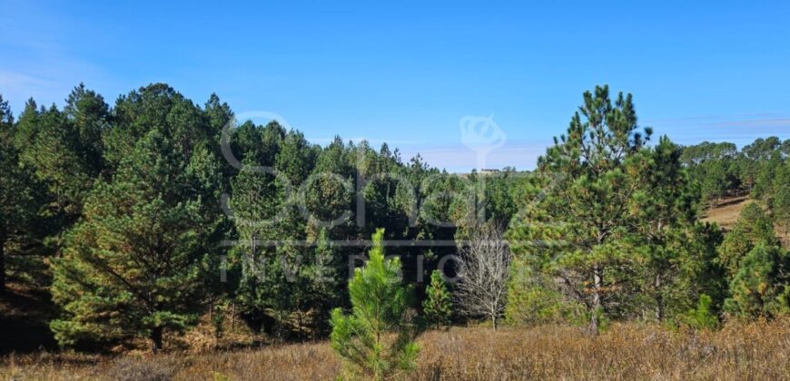 Campo en Intiyaco