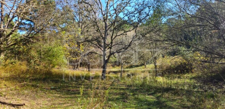 Campo en Intiyaco