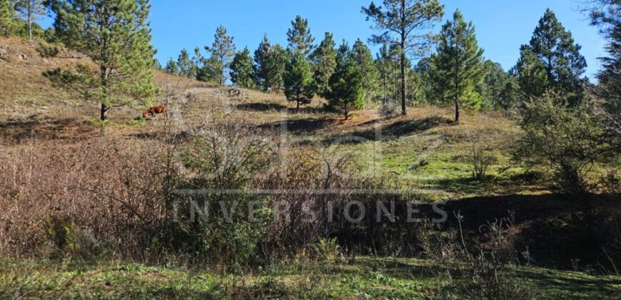 Campo en Intiyaco